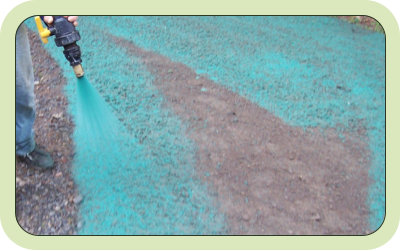 hydro seeding, spray on lawn