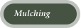 Mulching